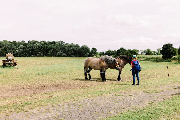 Ein Tag im Norden von Rügen