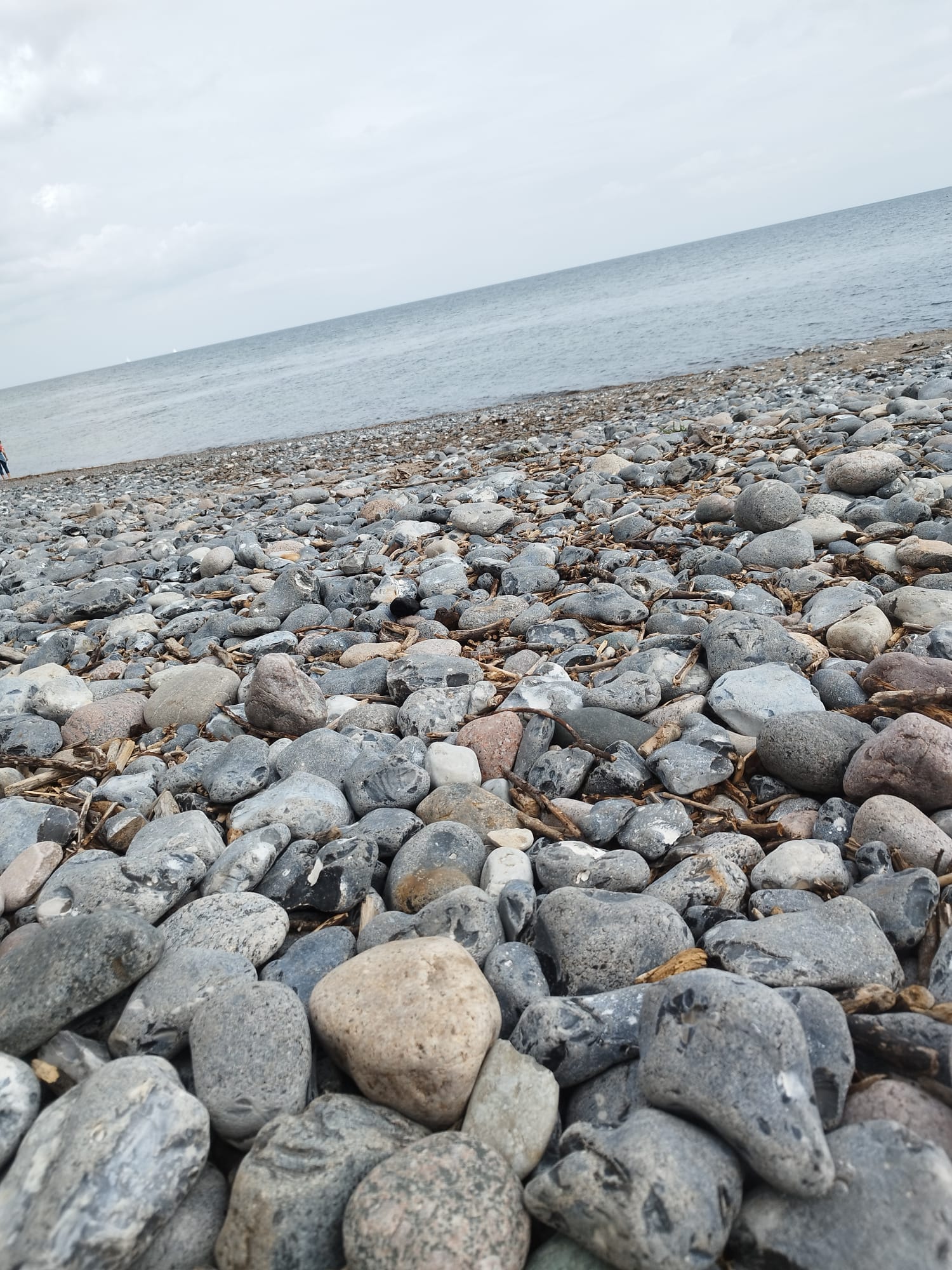 Ein Tag im Norden von Rügen
